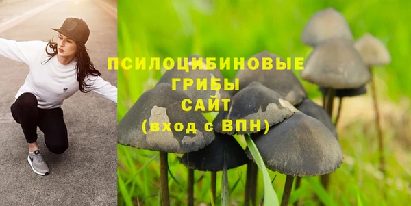 героин Абаза